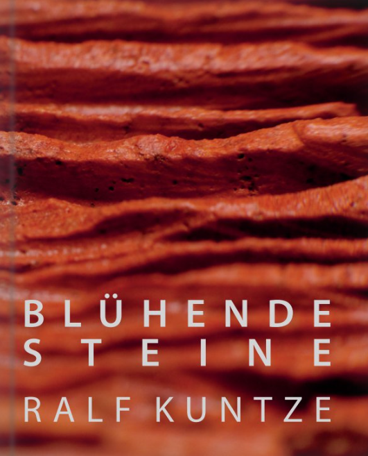 Buch Bluehende Steine